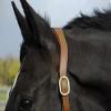 Rhinegold Unisex's R177-F-TAN Pro-Anatomic Headcollar-Full-Dark Tan view 2