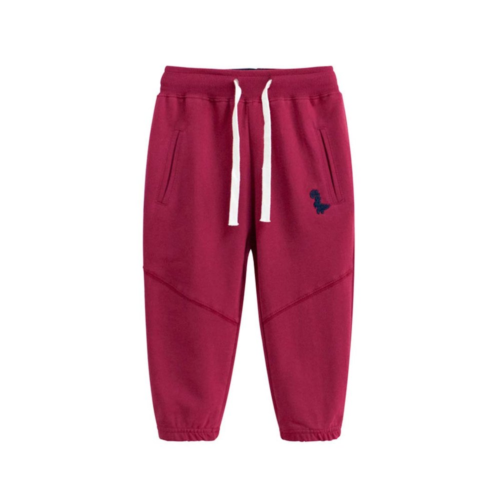 Toddler Boys Girls Cotto Sweatpant Jogger Pants Cartoon Dinosaur Active Sports Leggings for Kids 2-7 Years Old (Red,6-7 Years)
