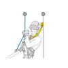 PETZL, Asap'Sorber Int Lanyard 40 Cm, Energy absorber for ASAP or ASAP LOCK view 3