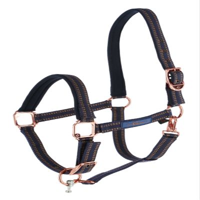 Halter for GoLeyGo System, blue/caramel, sz.1