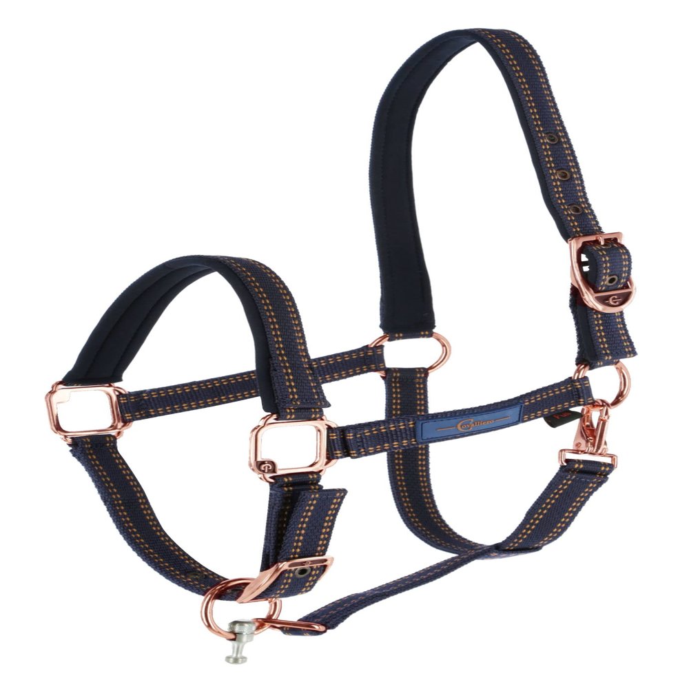 Halter for GoLeyGo System, blue/caramel, sz.1
