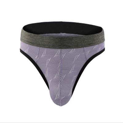 065 Smooth Sexy Thong Nylon Men's Elastic Pocket G-Strings (X-Large / 32.3'', Purple)