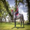 LeMieux Classic Ear Bonnet with Soft Lycra Ears - Close Knit Crochet - Comfortable Fit Equestrian Mask - Sport Horse Wear Fly Protection - Chilli - Medium view 3