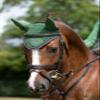 LeMieux Classic Ear Bonnet with Soft Lycra Ears - Close Knit Crochet - Comfortable Fit Equestrian Mask - Sport Horse Wear Fly Protection - Hunter Green - Medium view 2