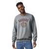 Barnesmith Harvard University Ivy League Crewneck Sweatshirt, Unisex, Heritage Logo, Charcoal Grey, XX-Large view 2