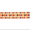 Country Brook Design - Nature Walk Polyester Webbing (1 Inch, 20 Yards) view 2