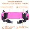 No.1 Hydration Belt by Runtasty - Premium Winners' Running Fuel Belt w/2 BPA-Free 10 oz Water Bottles, Tilt-Up Pocket w/Touchscreen-Ready Cover - Fits All iPhones, No-Bounce Design (Hot Pink) view 3