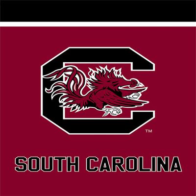 Briarwood Lane South Carolina Fighting Gamecocks NCAA Licensed House Flag