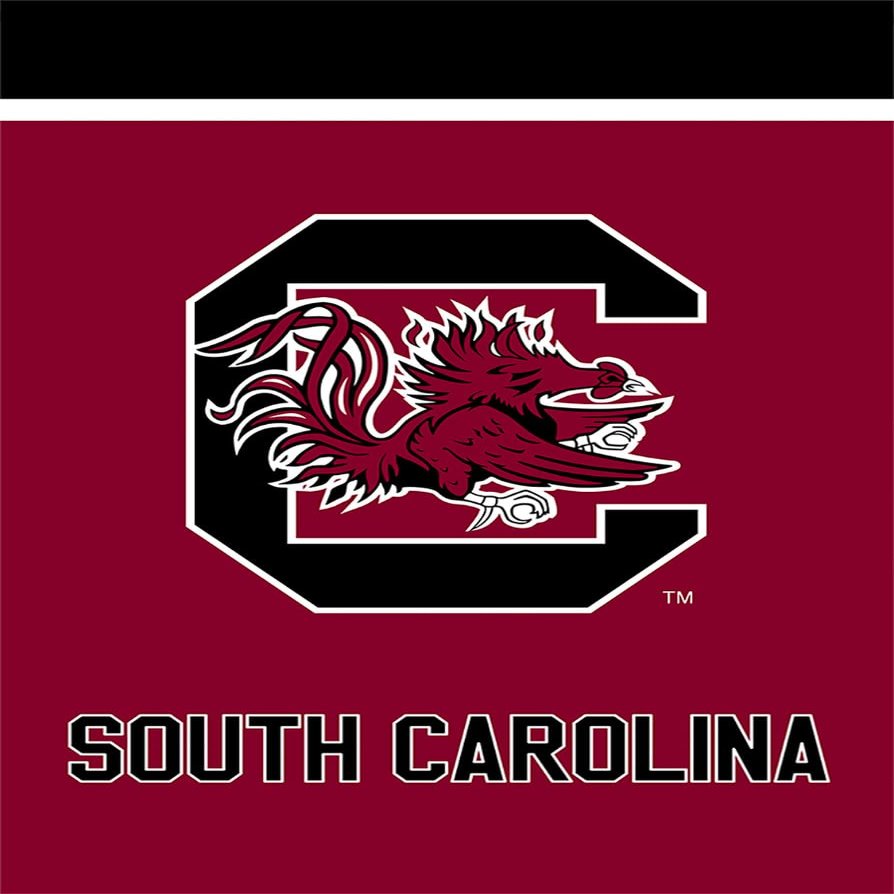Briarwood Lane South Carolina Fighting Gamecocks NCAA Licensed House Flag