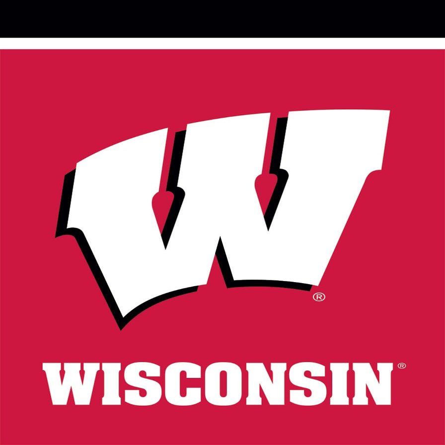 Briarwood Lane Wisconsin Badgers NCAA Licensed House Flag