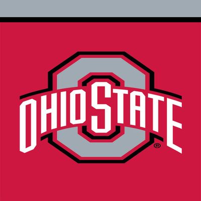 Briarwood Lane Ohio State Buckeyes NCAA Licensed House Flag
