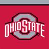 Briarwood Lane Ohio State Buckeyes NCAA Licensed House Flag view 1