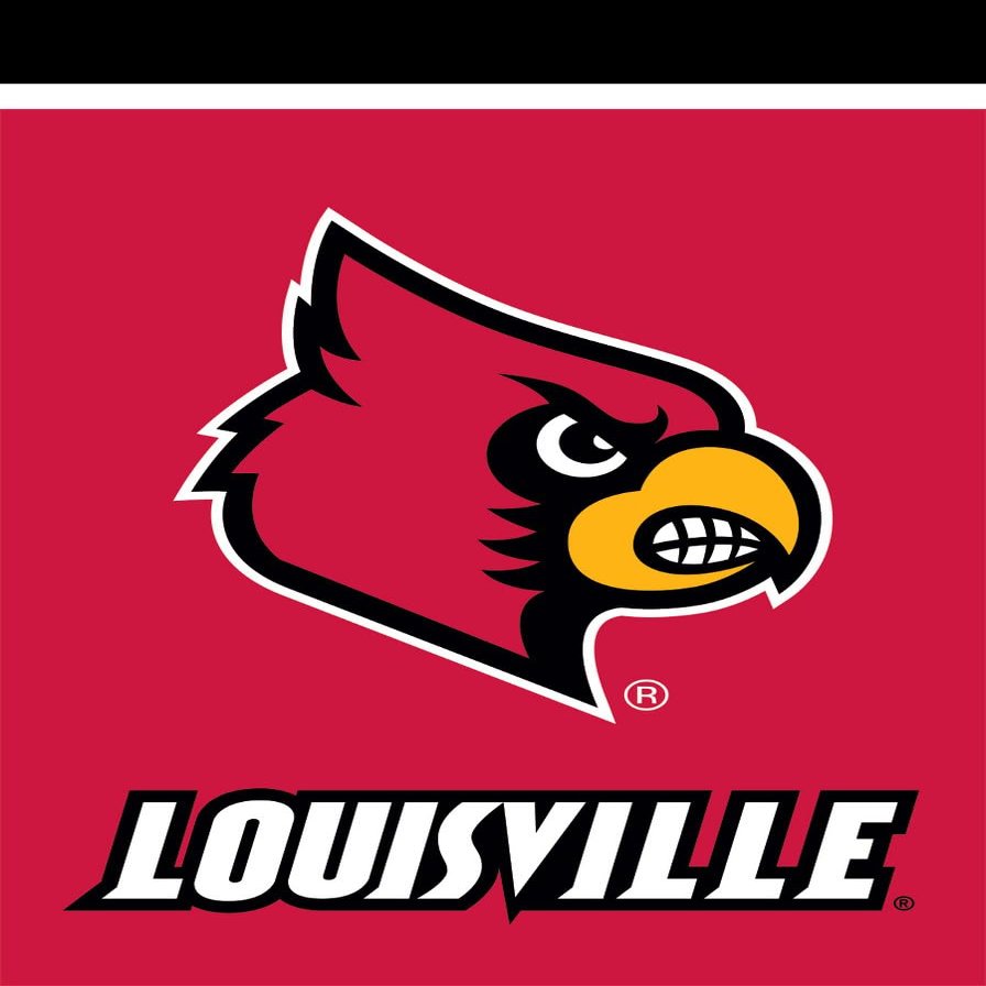 Briarwood Lane Louisville Cardinals NCAA Licensed House Flag