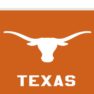Briarwood Lane Texas Longhorns NCAA Licensed House Flag