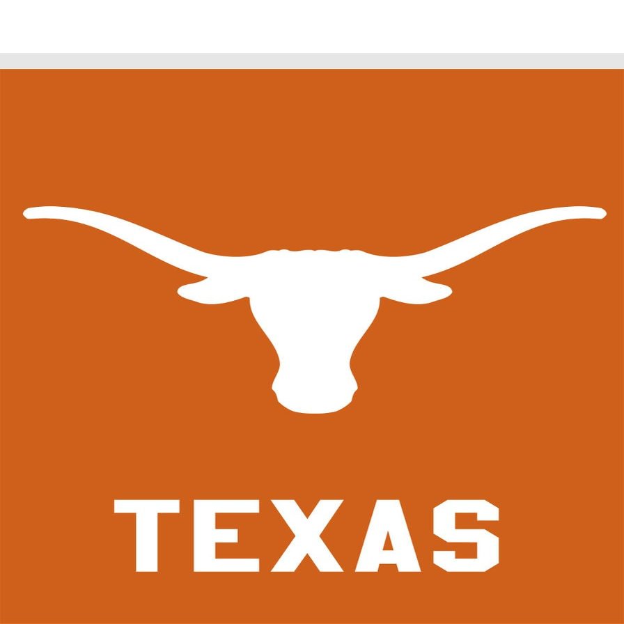 Briarwood Lane Texas Longhorns NCAA Licensed House Flag