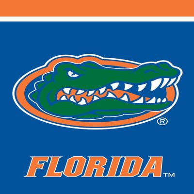 Briarwood Lane Florida Gators NCAA Licensed House Flag