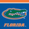 Briarwood Lane Florida Gators NCAA Licensed House Flag view 1