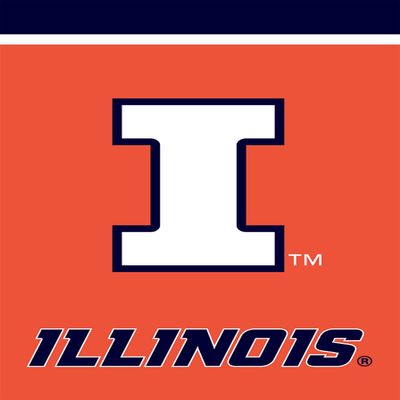 Briarwood Lane Illinois Fighting Illini NCAA Licensed House Flag