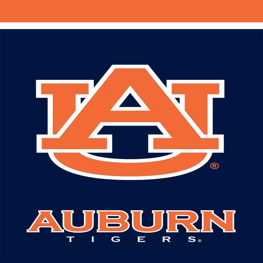 Briarwood Lane Auburn Tigers NCAA Licensed House Flag