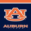 Briarwood Lane Auburn Tigers NCAA Licensed House Flag view 1