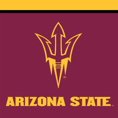 Briarwood Lane Arizona State Sun Devils NCAA House Flag