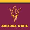 Briarwood Lane Arizona State Sun Devils NCAA House Flag view 1