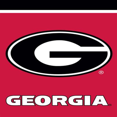 Briarwood Lane Georgia Bulldogs NCAA Licensed House Flag