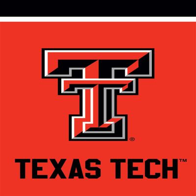 Briarwood Lane Texas Tech Red Raiders NCAA Licensed House Flag