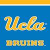 Briarwood Lane UCLA Bruins NCAA Licensed House Flag view 1