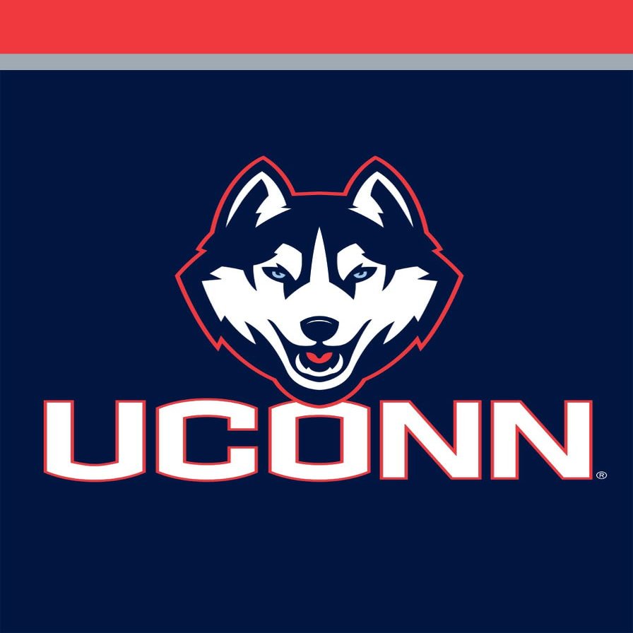 Briarwood Lane Connecticut Huskies NCAA Licensed House Flag