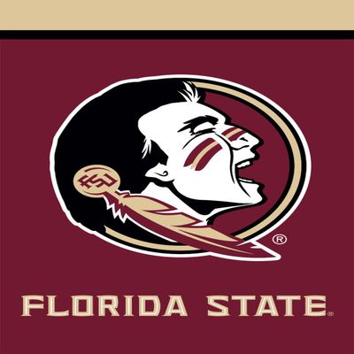 Briarwood Lane Florida State Seminoles NCAA Licensed House Flag