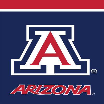 Briarwood Lane Arizona Wildcats NCAA Licensed House Flag
