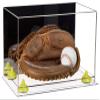 Better Display Cases Acrylic Base and Wall Mountball Catchers Glove Display Case with Mirror Case, Yellow Risers and Clear Base (A011/V16) view 1