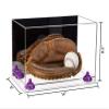 Better Display Cases Acrylic Base and Wall Mountball Catchers Glove Display Case with Mirror Case, Purple Risers and Clear Base (A011/V16) view 2