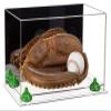 Better Display Cases Acrylic Base and Wall Mountball Catchers Glove Display Case with Mirror Case, Green Risers and Clear Base (A011/V16) view 1