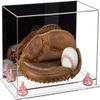 Better Display Cases Acrylic Base and Wall Mountball Catchers Glove Display Case with Mirror Case, Pink Risers and Clear Base (A011/V16) view 1