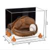 Better Display Cases Acrylic Base and Wall Mountball Catchers Glove Display Case with Mirror Case, Orange Risers and Clear Base (A011/V16) view 2
