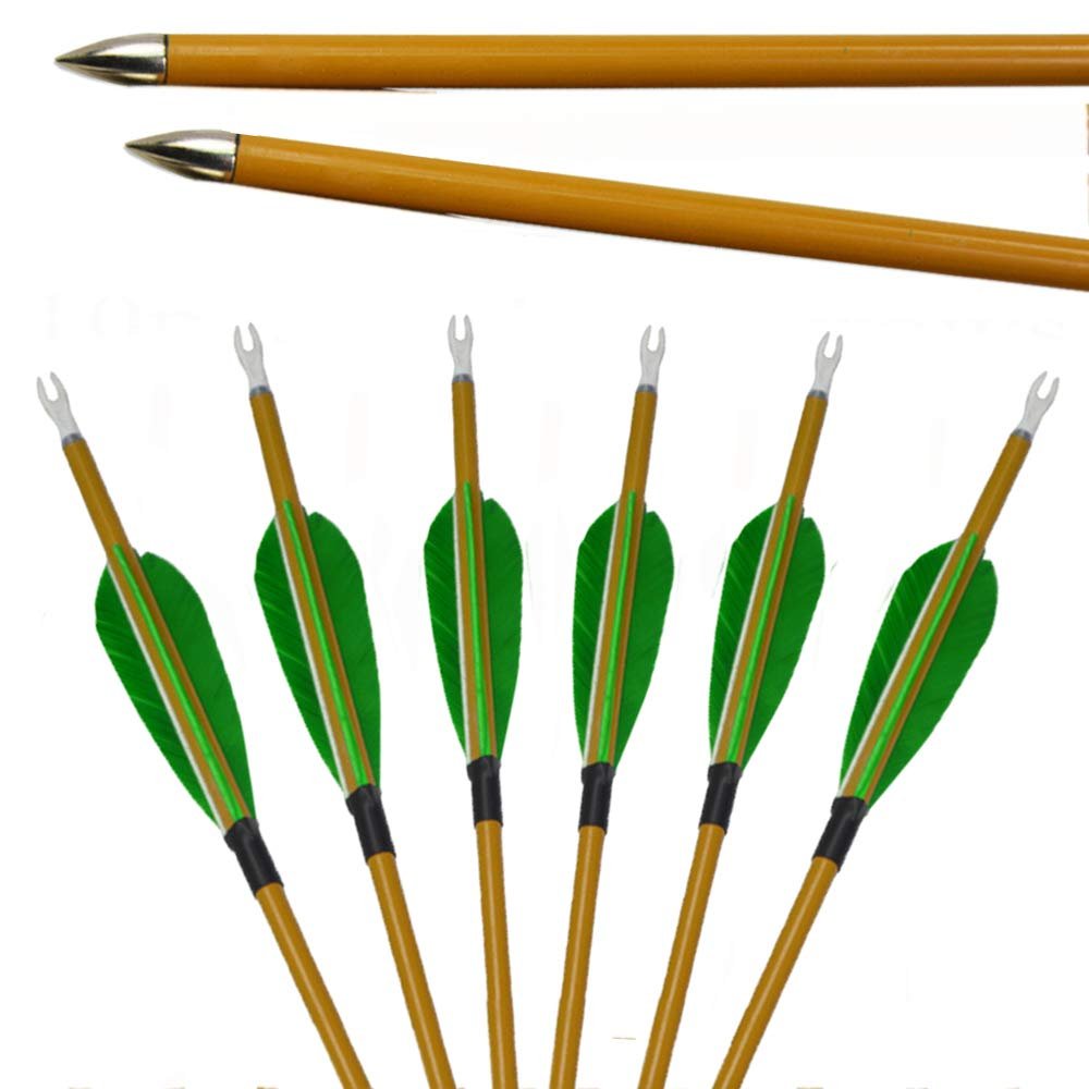 10pcs Carbon Arrows Hunting Carbon Fiber Arrow Spine 900 Target Shooting Arrow with 3inch Turkey Feather and Arrows Quiver for Compound Recurve Bow (Green, 10pcs Arrows+Arrow Quiver)