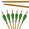 10pcs Carbon Arrows Hunting Carbon Fiber Arrow Spine 900 Target Shooting Arrow with 3inch Turkey Feather and Arrows Quiver for Compound Recurve Bow (Green, 10pcs Arrows+Arrow Quiver) view 1