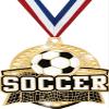 Crown Awards 2 1/4" Royal Soccer Medals, Shiny Gold Soccer Medal with Free Engraving, 100 Pack view 1