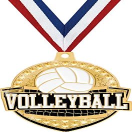 Crown Awards 2 1/4" Royal Volleyball Medals, Shiny Gold Volleyball Medal with Free Engraving, 50 Pack Prime