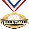 Crown Awards 2 1/4" Royal Volleyball Medals, Shiny Gold Volleyball Medal with Free Engraving, 50 Pack Prime view 1