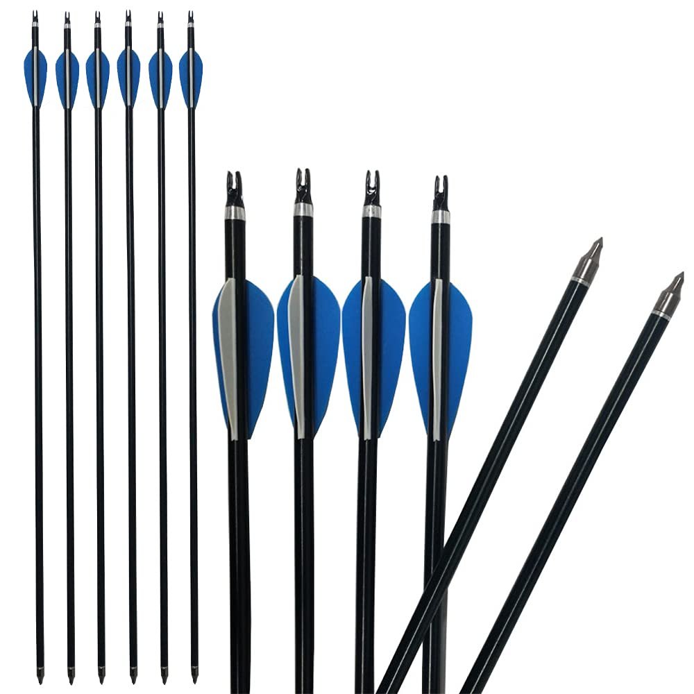 ZSHJGJR 30 Inch Aluminum Arrows Practice Hunting Arrows Spine 300 Field Points Replaceable Tips Arrow Quier Tube for Recurve Compound Bows 12 Pieces (12 Pieces Arrows)