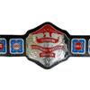 Vitalusa NWA Television Heavyweight Wrestling Championship Belt Adult Size NWA Tv Title Belt view 1