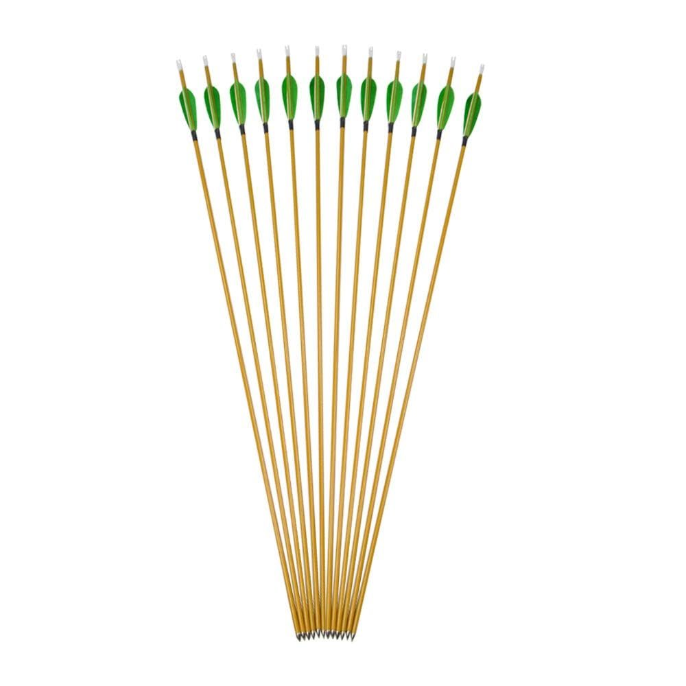 AMEYXGS 6/12pcs 33inch Hunting Arrow 900 Spine Mixed Carbon Fiber Arrows Target Practice Arrows with 3inch Turkey Feather and Tips Points (Green 12 pcs)