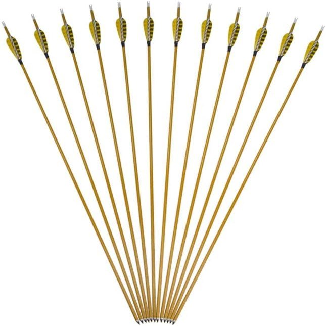 AMEYXGS 6/12pcs 33inch Hunting Arrow 900 Spine Mixed Carbon Fiber Arrows Target Practice Arrows with 3inch Turkey Feather and Tips Points (Yellow&White 12 pcs)
