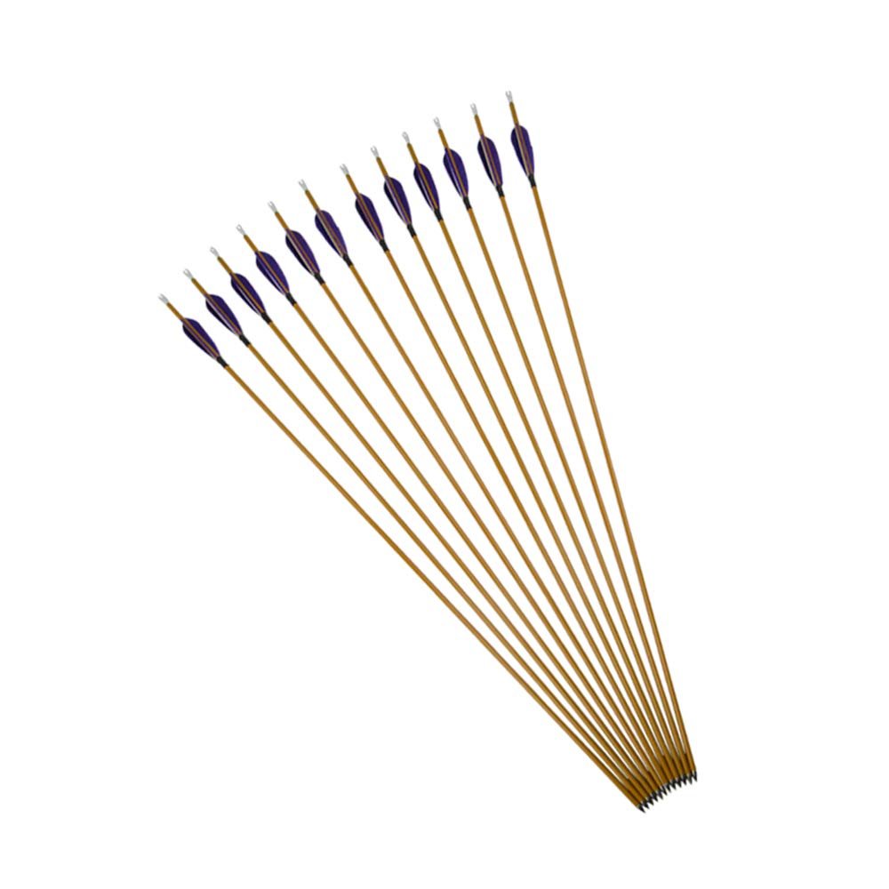 AMEYXGS 6/12pcs 33inch Hunting Arrow 900 Spine Mixed Carbon Fiber Arrows Target Practice Arrows with 3inch Turkey Feather and Tips Points (Purple 12 pcs)