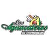 Aguacateros de Michoacan Baseball Team Car Decal/Sticker Multiple Sizes (28") view 1