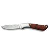 iFIELD Camper EL29045 folding knife, Stamina handle, colour box, 3 inch. stainless steel blade, camping tool for fishing, hunting, sport activity view 1