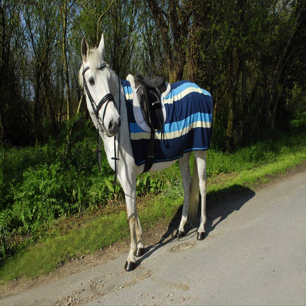 Rhinegold Unisex's 628-F-TURQ Fleece 3/4 Ride-On Rug-Turquoise-Cob, Full
